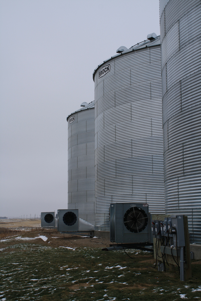 Operating aeration fans during cool mornings can cool grain in the upper portion of the grain bin. (NDSU photo)