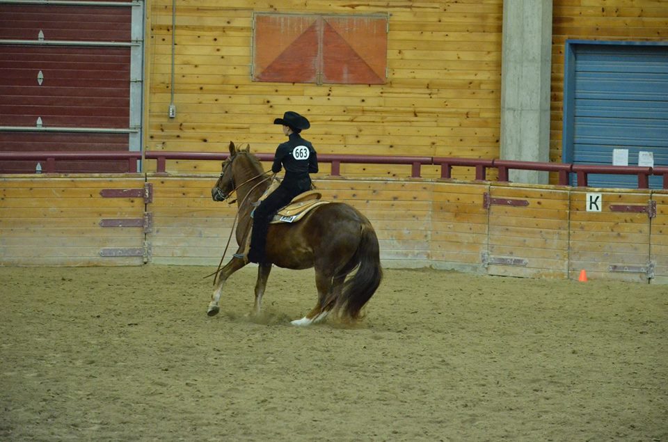 Madison Long, a member of NDSU's Western equestrian team, competes in the reining event. (NDSU photo)
