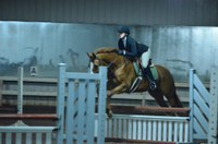 Rebecca Prasch, a member of NDSU's hunt seat equestrian team, competes in the over fences event. (NDSU photo)