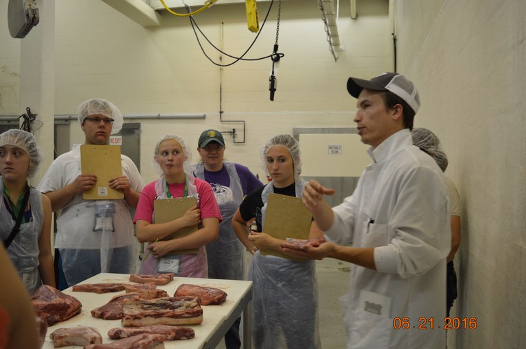 Youth learn about meat judging at a workshop during the Extension Youth Conference at NDSU. (NDSU photo)