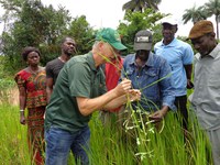 NDSU Extension agronomist Hans Kandel, talks with farmers about rice production in Sierra Leone.