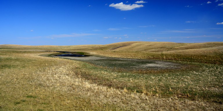 Livestock producers should test the water in ponds, dugouts and other water sources because last year's drought may have compromised the quality of the water. (NDSU photo)