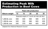 Estimating Peak Milk Production in Beef Cows