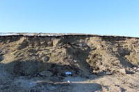 This is a poorly managed silage pile. (NDSU photo)