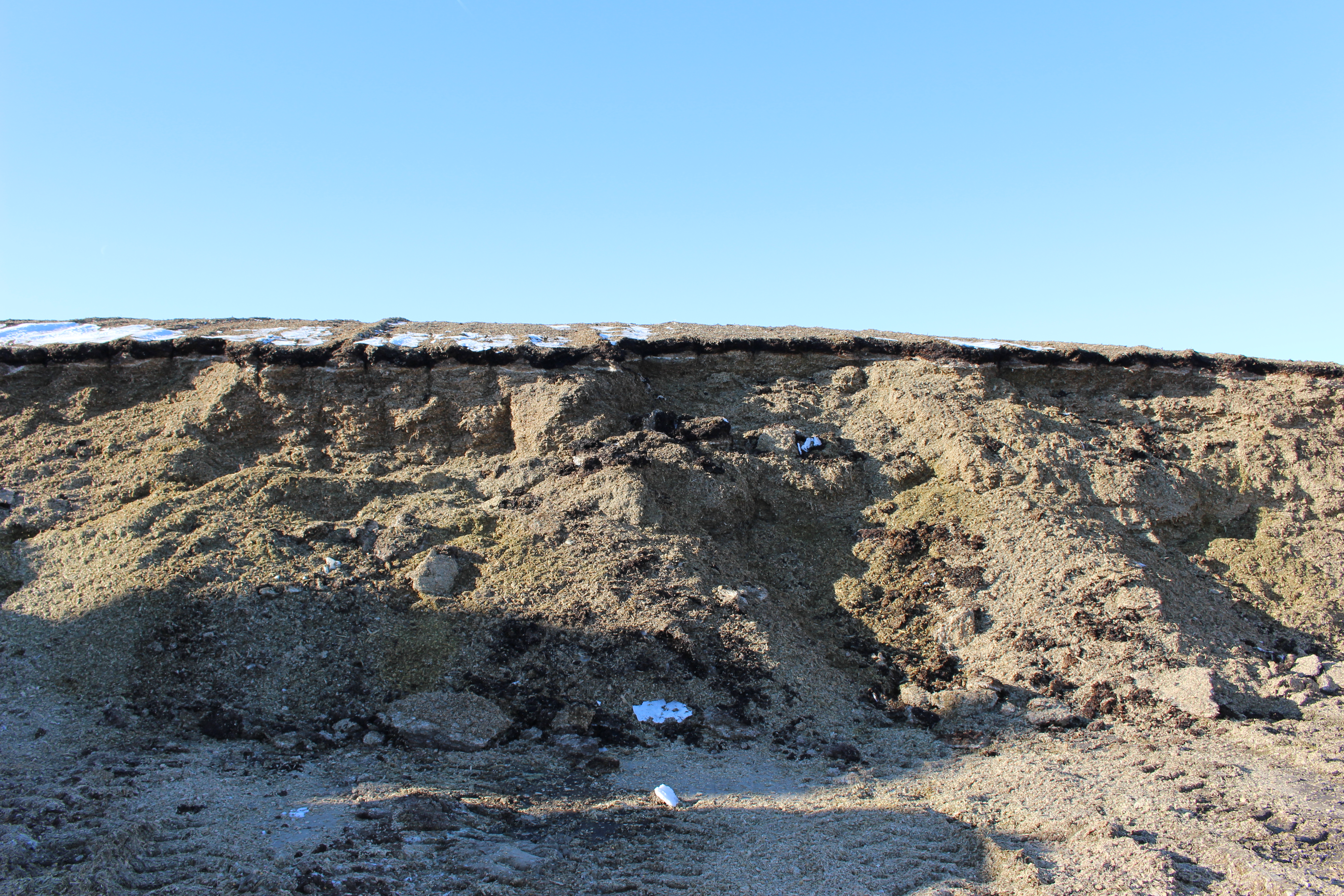 This is a poorly managed silage pile. (NDSU photo)