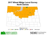 2017 Wheat Midge Larval Survey, North Dakota