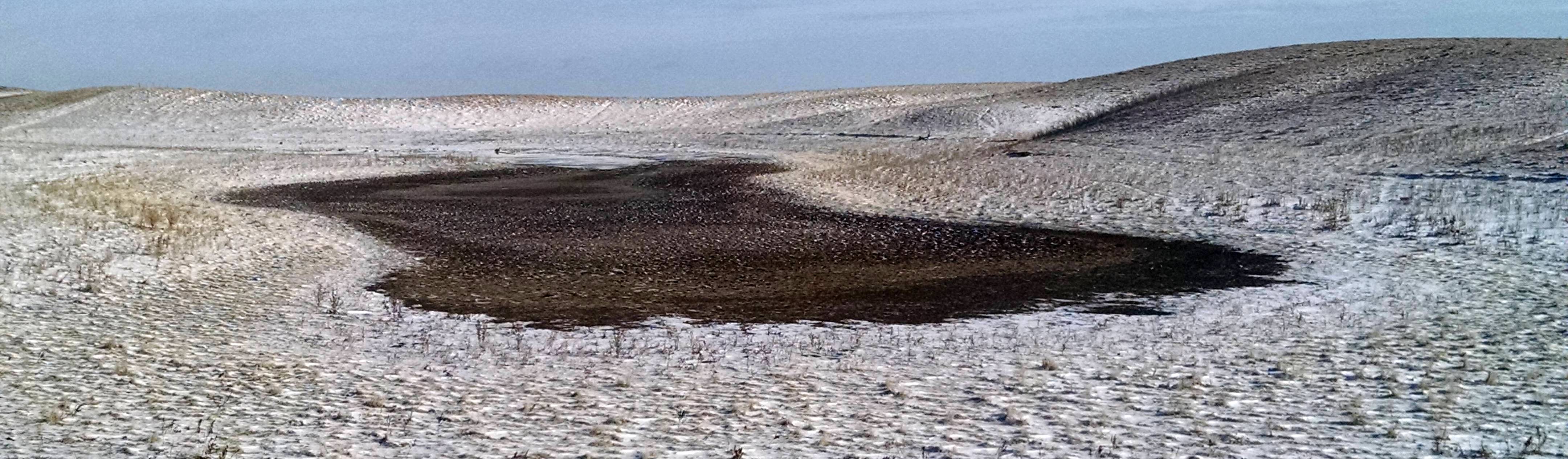 The lack of snow this winter is an indication that drought could continue to be a problem in North Dakota this year. (NDSU photo)