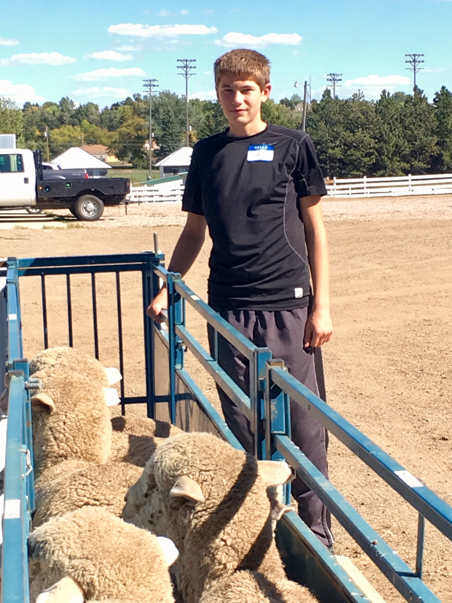Dillon Stroh of Tappen, N.D., a 2016 recipient of a starter flock, picks up his ewes. (NDSU photo)
