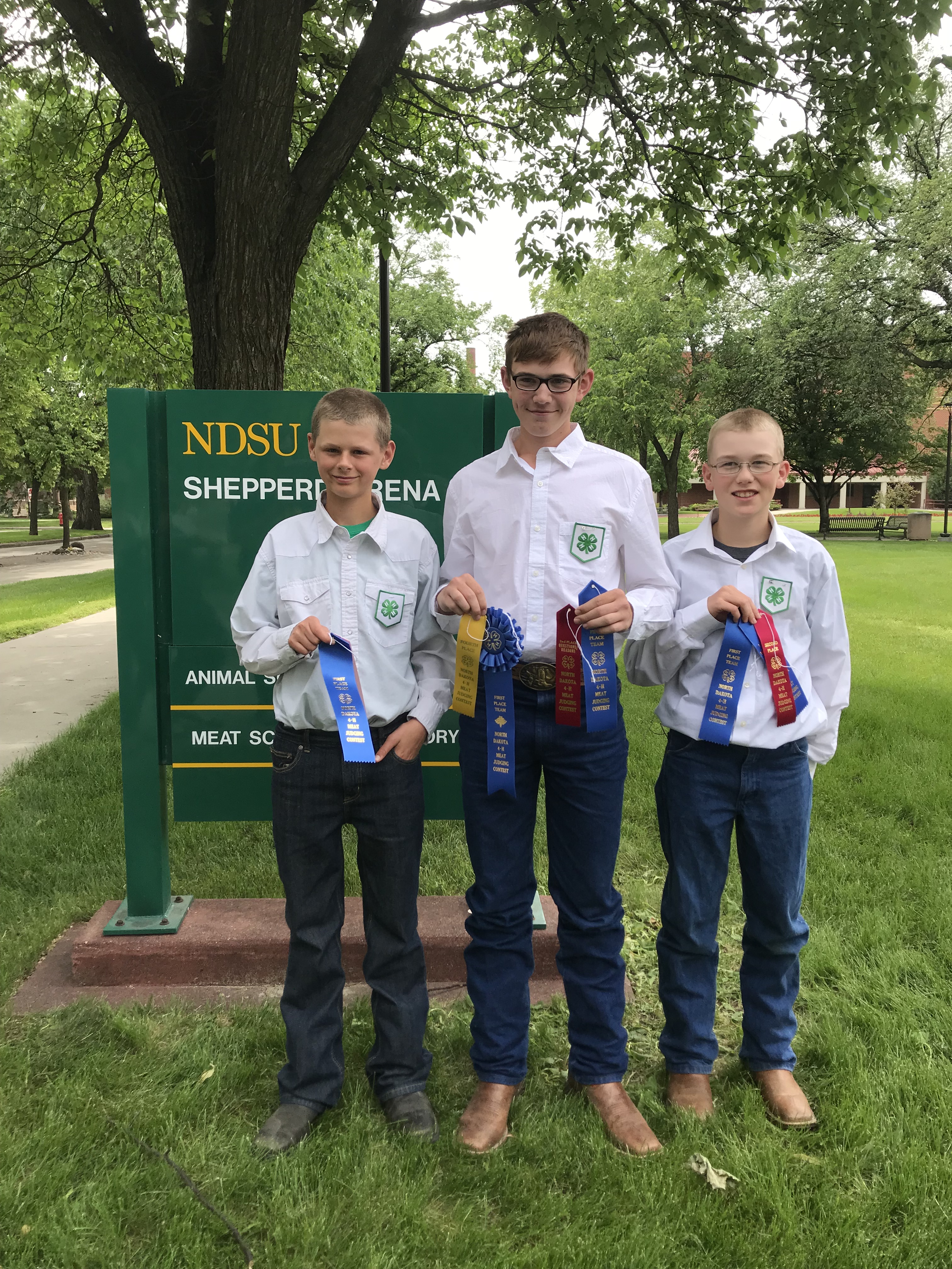 The Ward County team takes first place in the intermediate division of the State 4-H Meat Judging Contest. Team members are (from left): Wyatt Kersten, Mason Kraft and Mark Schauer. (NDSU photo)