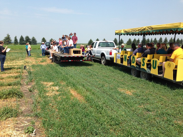 Visitors view crop research during a field day at the Carrington Research Extension Center. (NDSU photo)