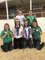 The Morton County team took first place in the junior division of the North Dakota 4-H Dairy Judging Contest. Pictured are back row (from left): Stran Ressler and Cooper Strommen, and front row (from left): Sheridan Ellingson, Cassidy Strommen, Jada Bonogofsky and Medora Ellingson. (NDSU photo)