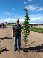 A Palmer amaranth plant towers over Alicia Harstad, an agent in NDSU Extension’s Stutsman County office, during a visit to Nebraska to learn how university specialists, agricultural consultants and producers control the invasive weed there. (NDSU photo)