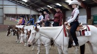 Horse owners need to practice good biosecurity if their animals will come in contact with other horses at events such as horse shows, rodeos and county fairs. (NDSU photo)