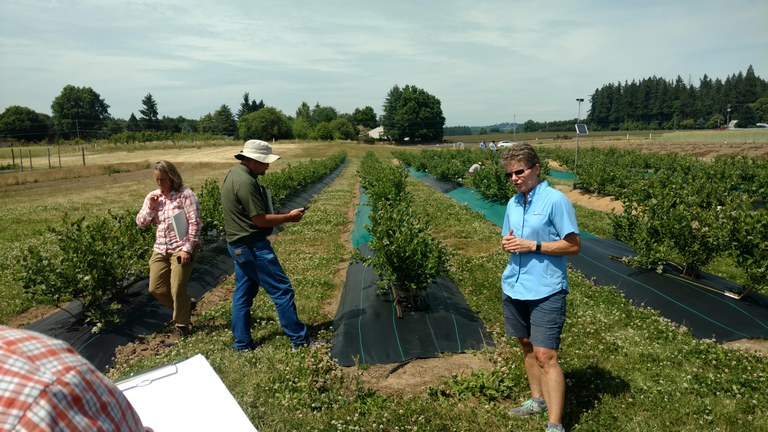 An important part of the SARE grant program is having producers share information about their project. (NDSU photo)