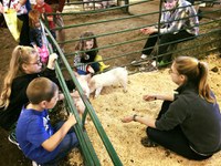 Kids have a chance to pet baby pigs at Moos, Ewes and More, the event the NDSU Animal Sciences Department hosts annually. (NDSU photo)