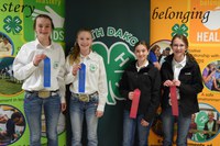 Teams from Ward and Ramsey Counties took first and second place, respectively, in junior division demonstration and illustrated talks. Pictured are (from left): Anne Schauer and Macey Moore, Ward County; Bailey Hawn and Rachelle Jacobson, Ramsey County.