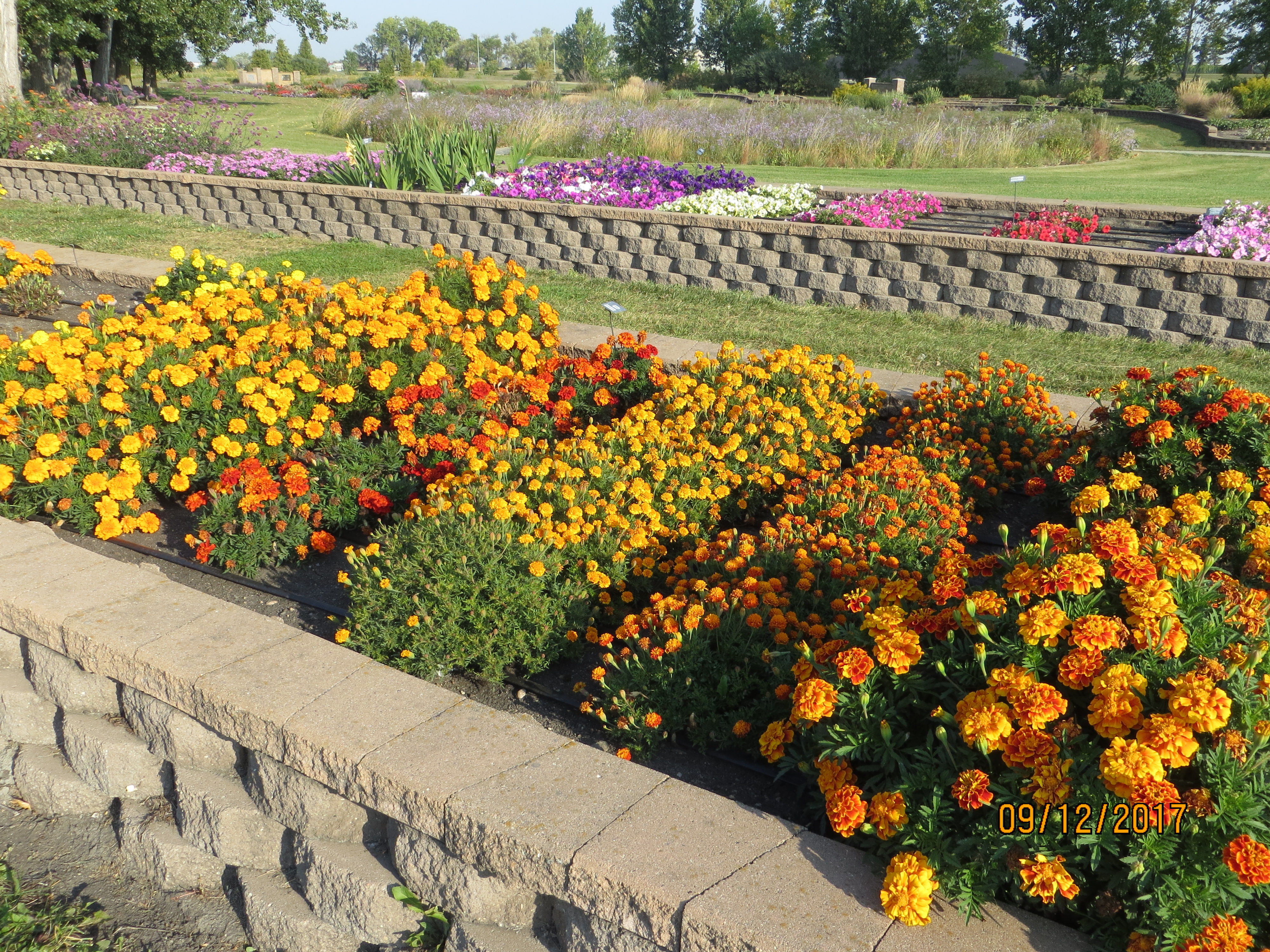 Walking tours will be part of the gardening event at NDSU's Horticulture Research and Demonstration Gardens on Sept. 5. (NDSU photo)