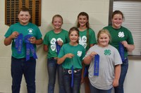 Placing first in the junior division of the state 4-H land judging contest was the team from Foster County. Team members (from L to R) are: Kyle Johnson, Brekka Kuss, Cyrena Kuss, London Davis, Cally Hansen and Molly Hansen.