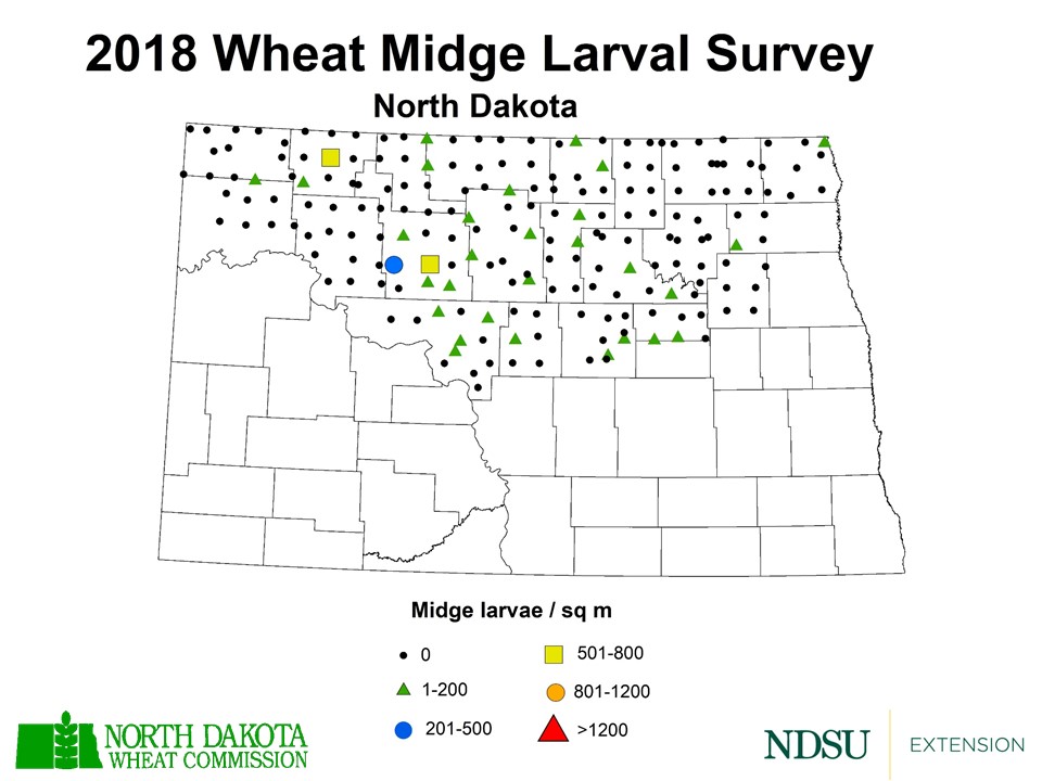 2018 Wheat Midge Larval Survey - Midge Per Square Meter
