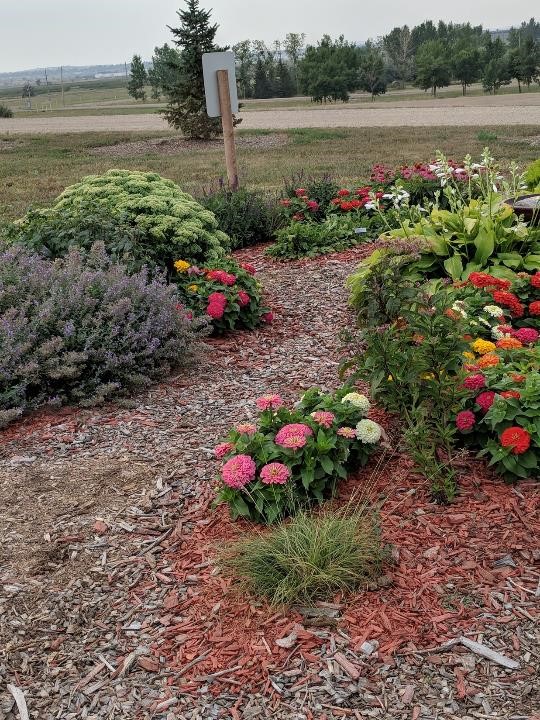 The Burleigh County Pollinator Garden in Bismarck receives the Public Garden Award during the 2019 NDSU Extension Master Gardener program awards ceremony in Fargo. (NDSU photo)