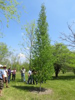 Visitors tour the NDSU Horticulture Research Farm near Absaraka. (NDSU photo)