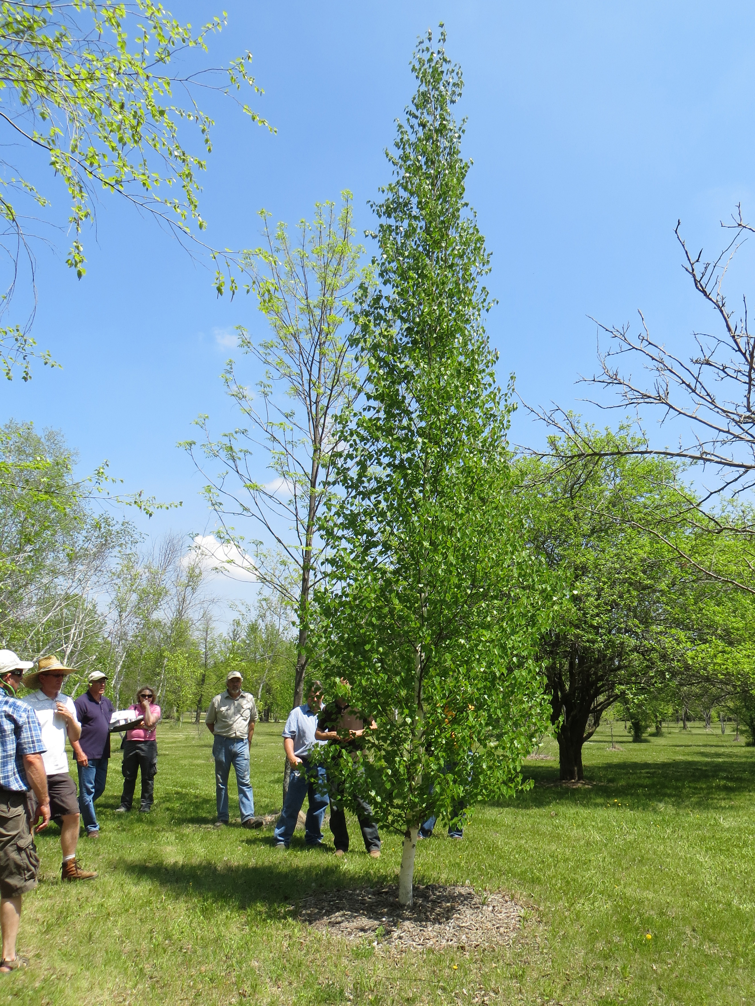 Visitors tour the NDSU Horticulture Research Farm near Absaraka. (NDSU photo)