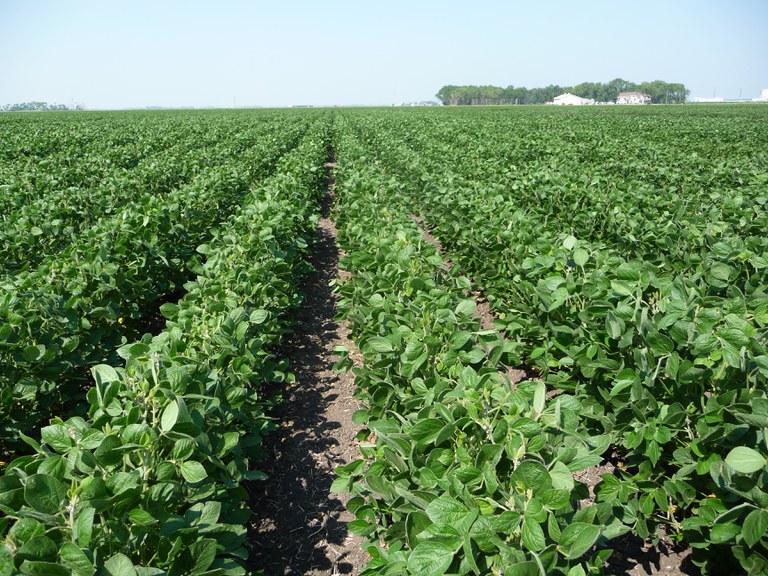 About 400 million acres of farmland are expected to change hands during the next 15 year as farms transition from one generation to the next. (NDSU photo)