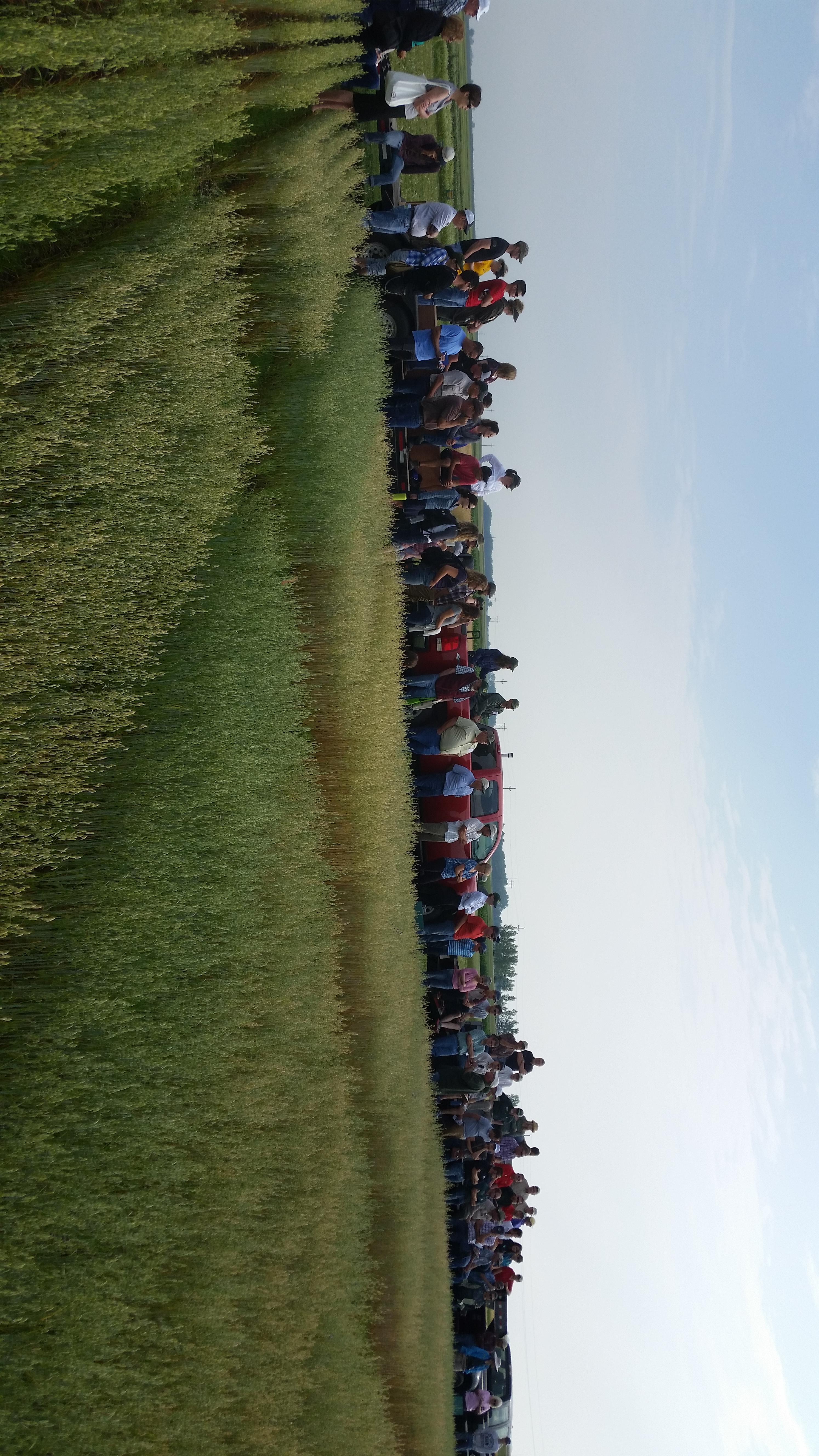 Visitors attend a tour on organic agriculture during a field tour at NDSU's Carrington Research Extension Center. (NDSU photo)