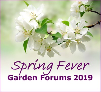 Spring Fever Garden Forums Logo