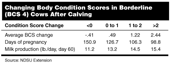 Changing Body Condition Scores in Borderline (BCS 4) Cows After Calving