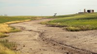 This is the site of a brine spill in northwestern North Dakota. (NDSU photo)