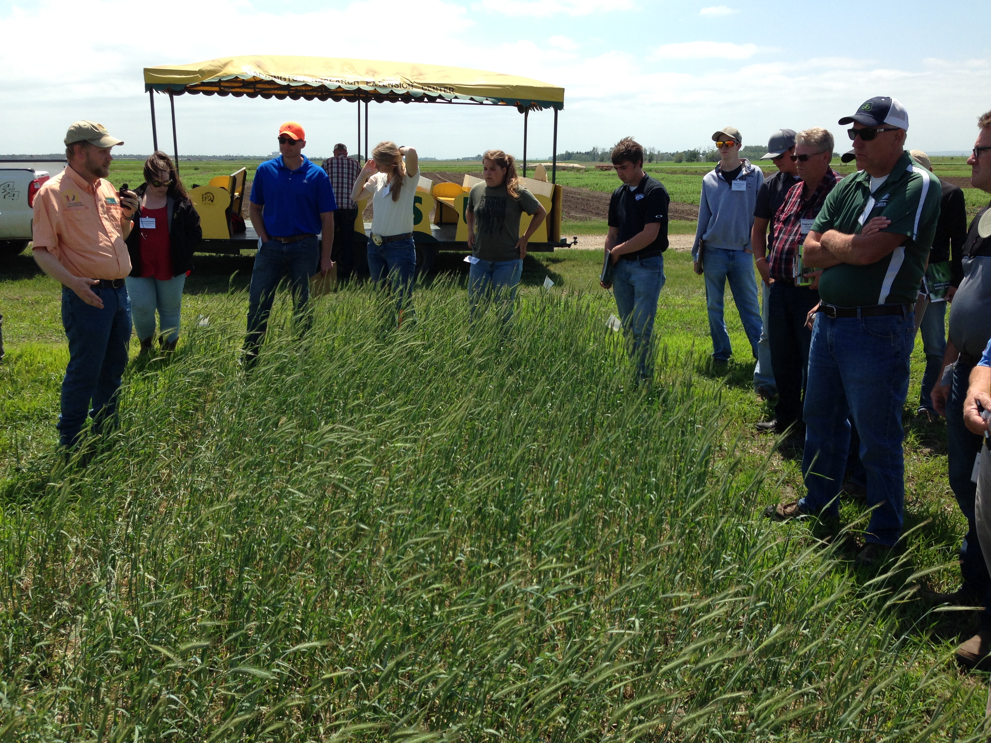 Crop advisers and farmers get in-the-field experience at NDSU Extension Crop Management Field School. (NDSU Photo)