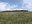 Make sure you don't overdraw your forage account. (NDSU photo)
