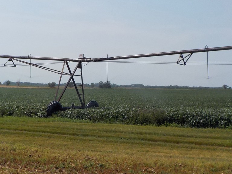 Irrigation is providing much-needed water to this soybean crop. (NDSU photo)