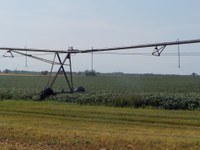 Irrigation is providing much-needed water to this soybean crop. (NDSU photo)