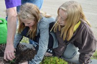 Members of the Junior Wildlife Club plant marigolds at the Chahinkapa Park and Zoo in Wahpeton, N.D., as part of NDSU Extension’s Junior Master Gardener program. (Photo courtesy of Master Gardener Joan Zettel)