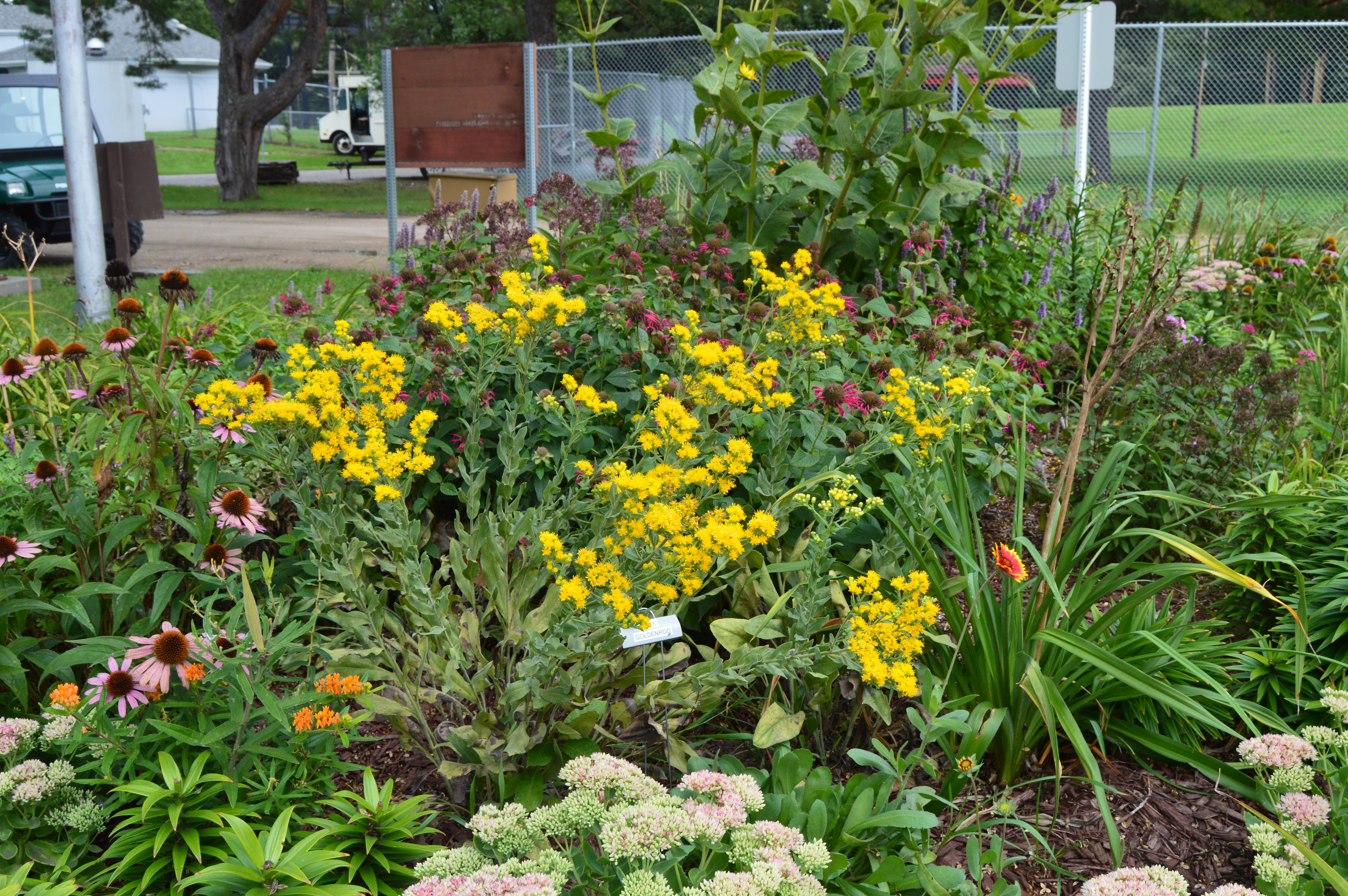 The NDSU Extension Master Gardener program funded pollinator gardens across North Dakota, such as the one at the Chahinkapa Park and Zoo in Wahpeton, N.D., to help save bees. (Photo courtesy of Master Gardener Joan Zettel)