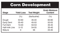 Corn Development