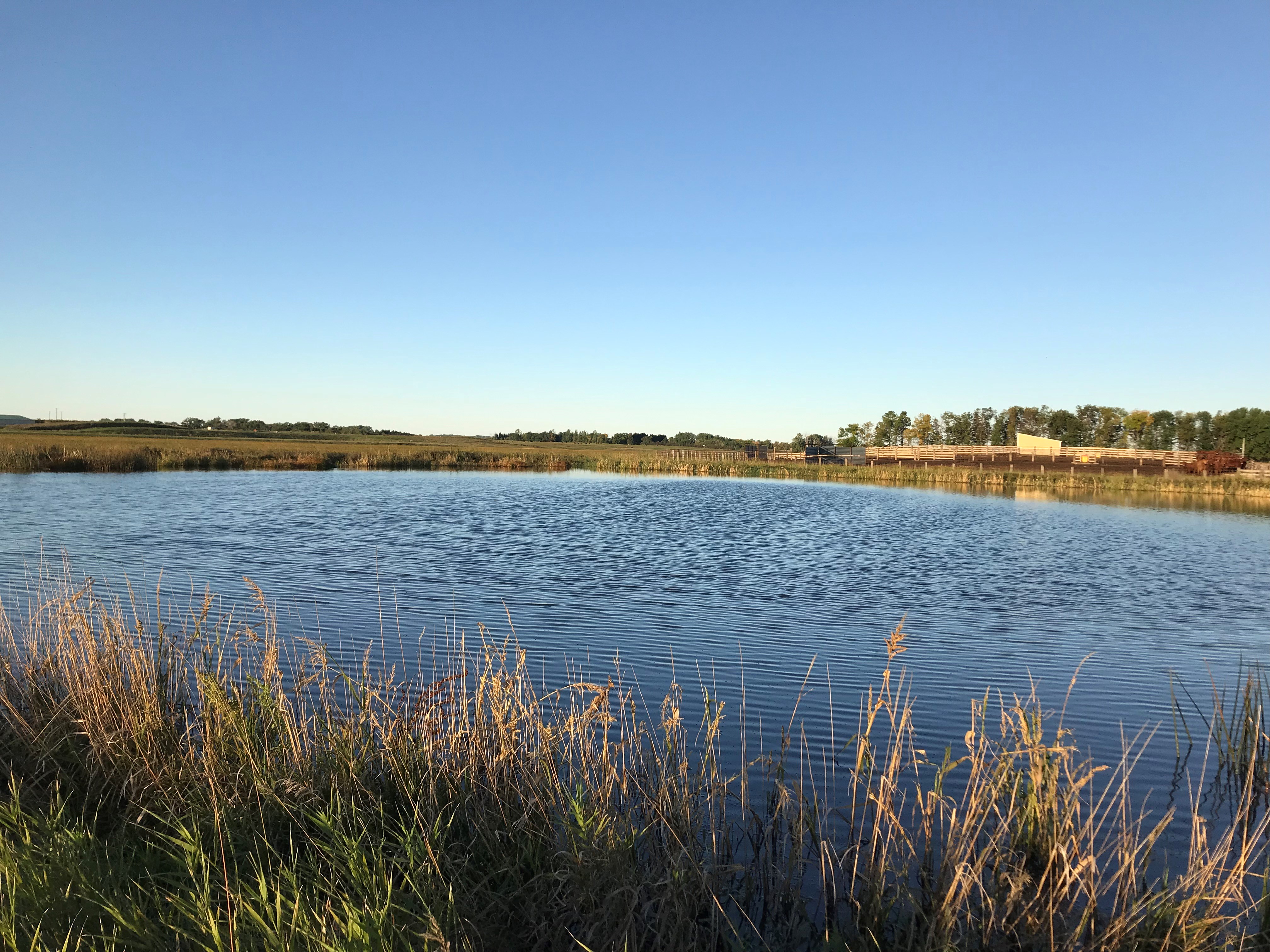 This dirty-water containment pond in central North Dakota is full. (NDSU photo)