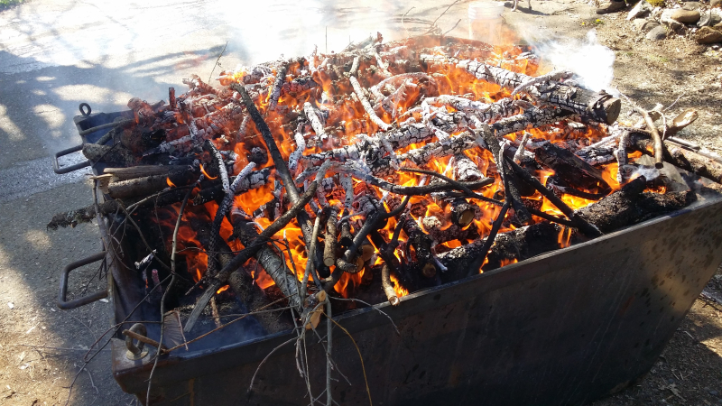 Wood waste is being turned into biochar in a flame cap kiln. (NDSU photo)