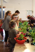 Members of the Busy Butterflies Country Critters 4-H Club in Stutsman County plant salad bowl gardens. (NDSU photo)