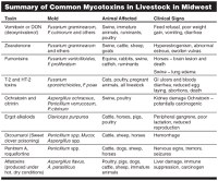 Summary of Common Mycotoxins in Livestock in Midwest