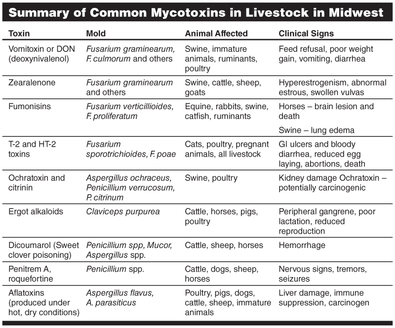 Summary of Common Mycotoxins in Livestock in Midwest