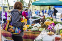 Farmers markets and farm stands can increase access to fresh, local food by becoming an authorized retailer for SNAP. (Photo courtesy of the North Dakota Department of Agriculture.