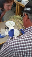 Kurt Froelich, an NDSU Extension agent in Stark and Billings counties, is conducting a Nitrate QuikTest. (NDSU photo)