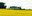 Canola diseases will be one of the topics covered during the Langdon Research Extension Center's field day this year. (NDSU photo)