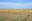 The Williston Research Extension Center's dryland and irrigated field days will be held virtually this year. (NDSU photo)