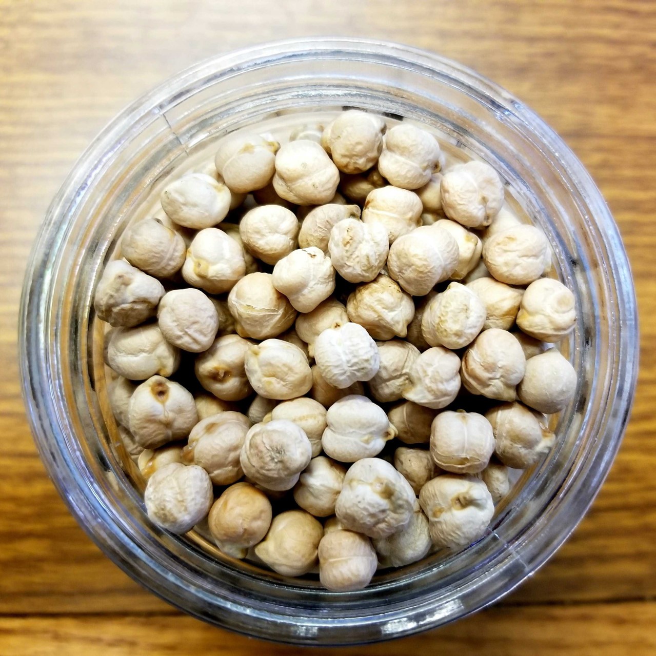 ND Crown Kabuli Chickpea (NDSU photo)