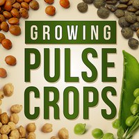 Growing Pulse Crops Podcast