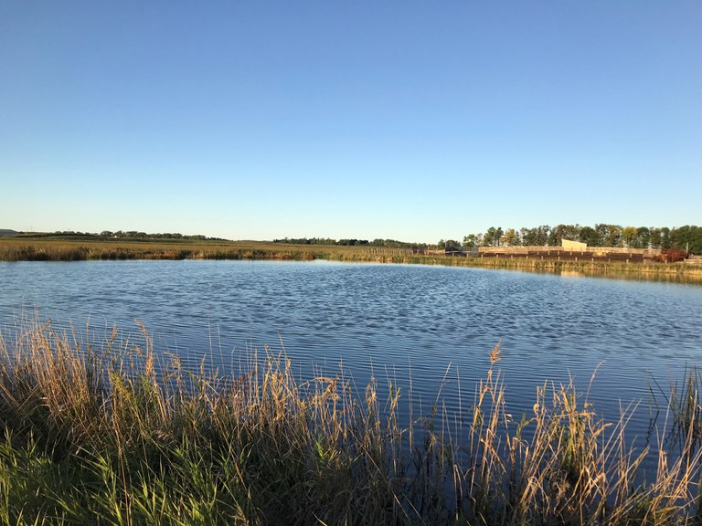 Inspecting dirty-water containment ponds like this one daily is going to be important as the spring thaw continues. (NDSU photo)